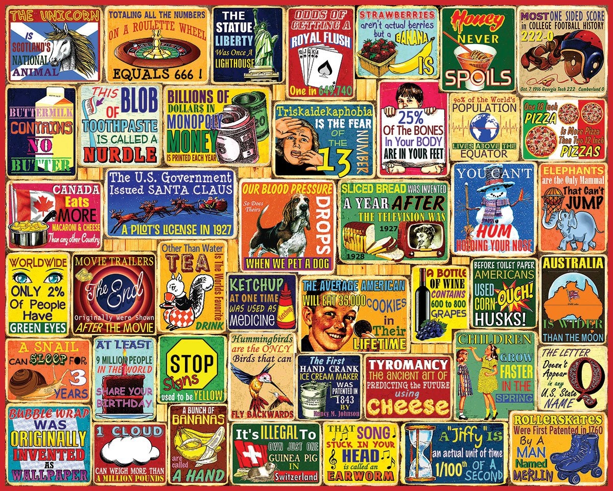 1000 Piece Jigsaw Puzzle Did You Know 1968pz White Mountain Puzzles