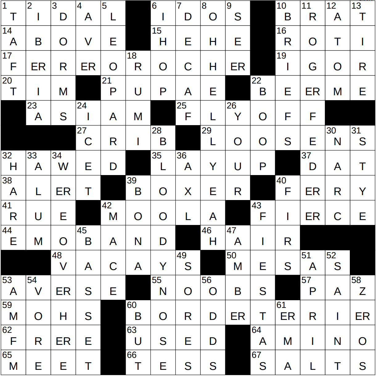 1102 22 NY Times Crossword 2 Nov 22 Wednesday NYXCrossword