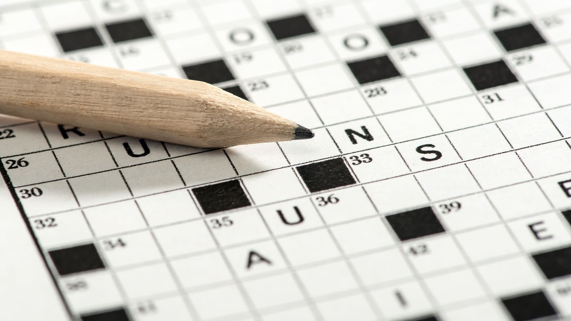 available or busy online crossword