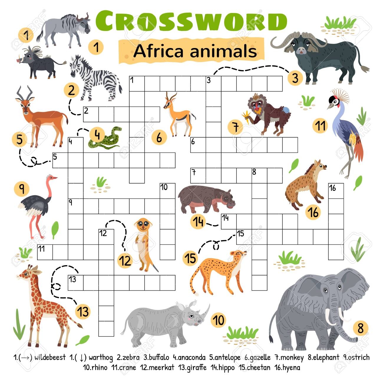 Africa Animals Crossword Game For Preschool Kids Royalty Free SVG Cliparts Vectors And Stock Illustration Image 149555641 