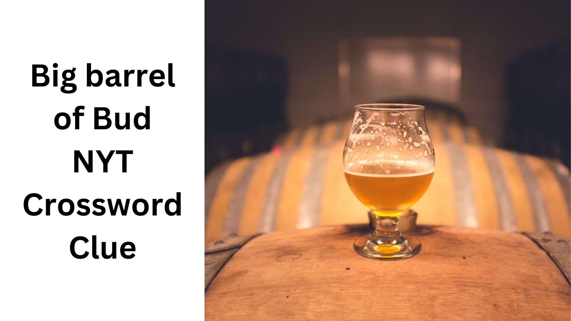 Big Barrel Of Bud NYT Crossword Clue August 20 2024