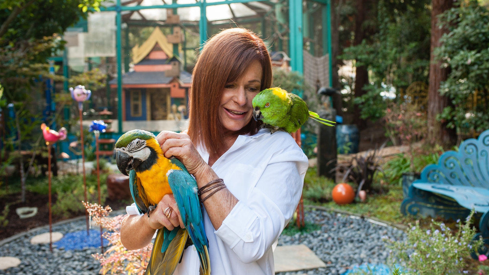 aussie bird crossword clue