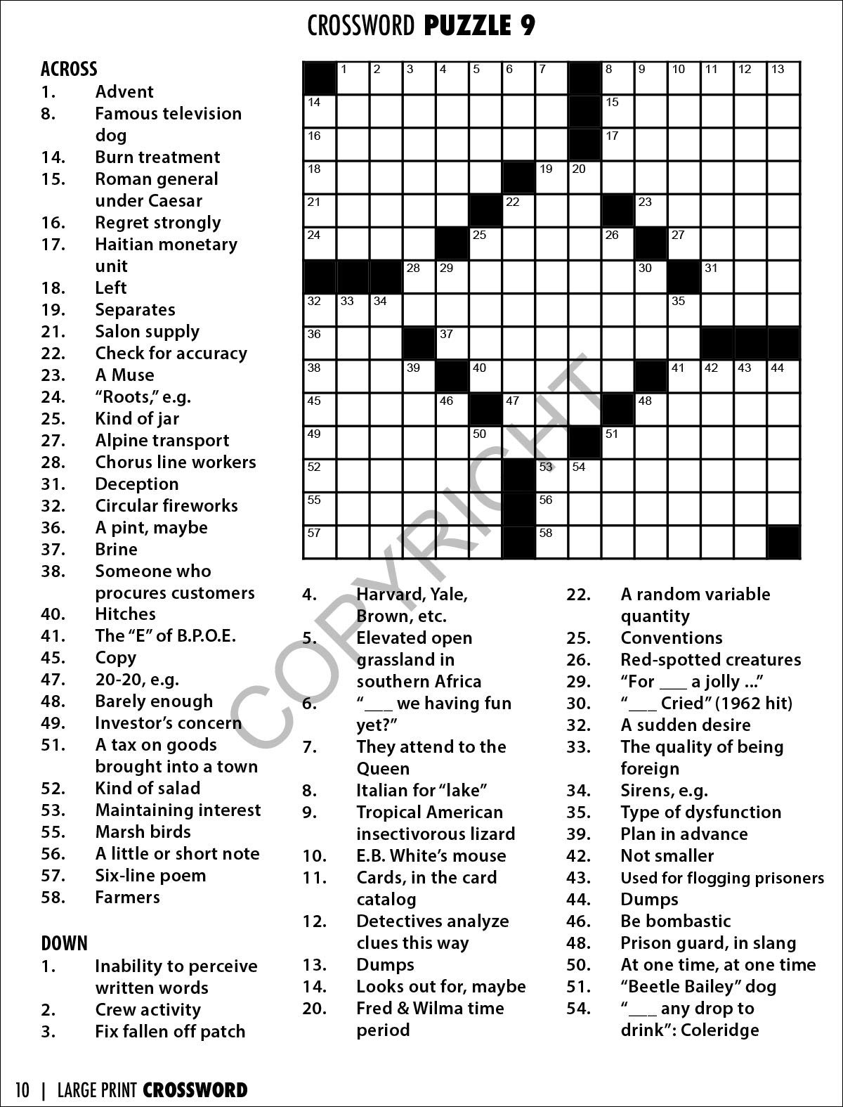 Crossword Puzzle Books For Adults Bulk 2023 Extra Large Print Crossword Puzzle For Seniors Specially Crafted For Seniors Keep Your Mind Active And Engaged With Fun And Easy to Read Murdle Puzzle