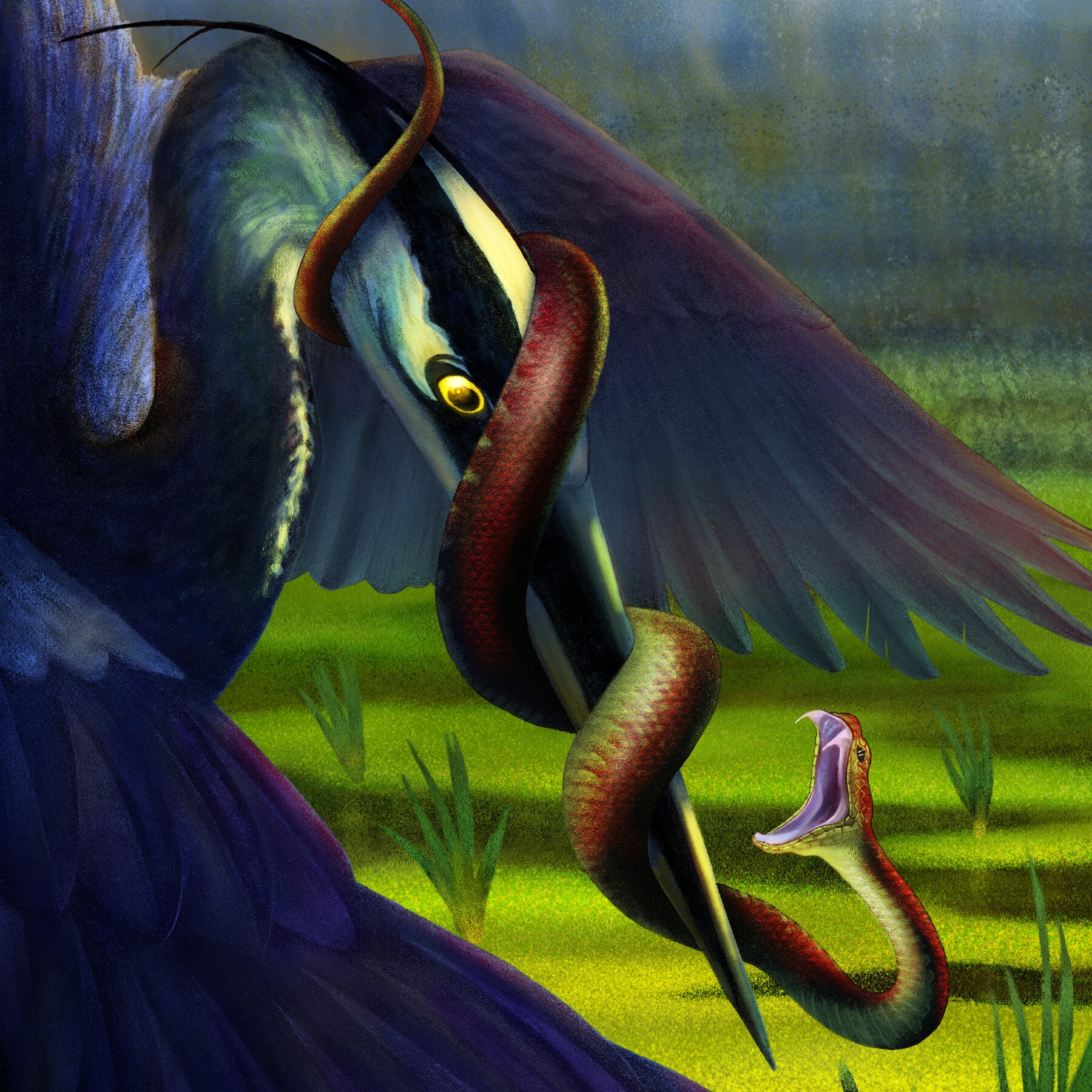 Don t Let A Bird s Feathers Fool You The New York Times