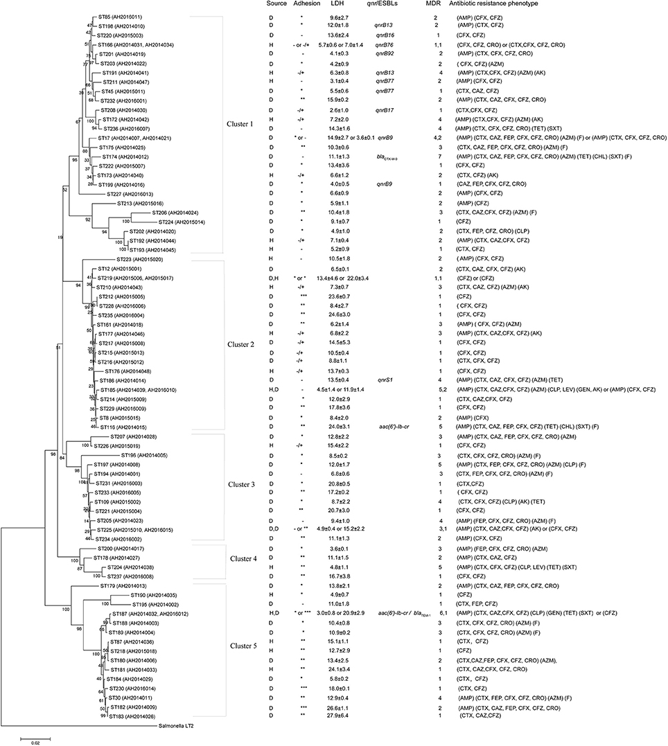 Frontiers Genetic Diversity Multidrug Resistance And Virulence Of Citrobacter Freundii From Diarrheal Patients And Healthy Individuals