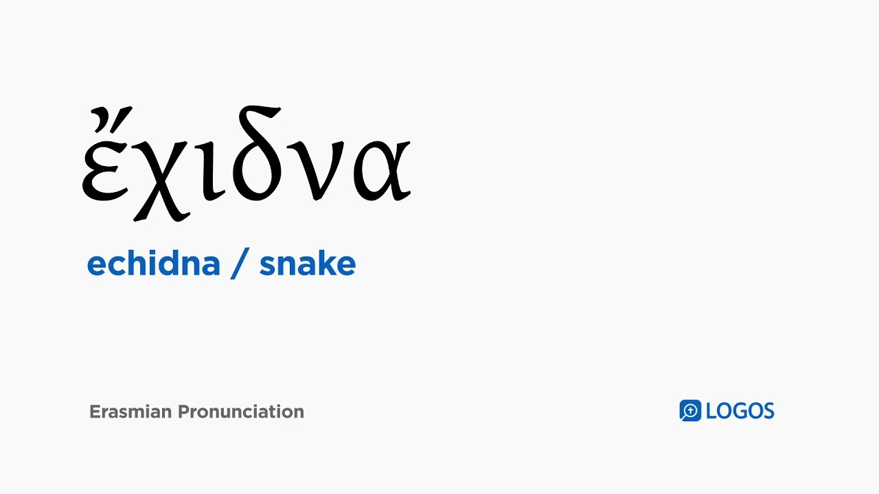 How To Pronounce Echidna In Biblical Greek Snake YouTube