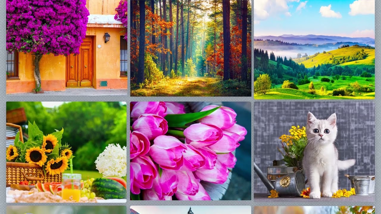 Jigsaw Puzzles For Adults Apps On Google Play