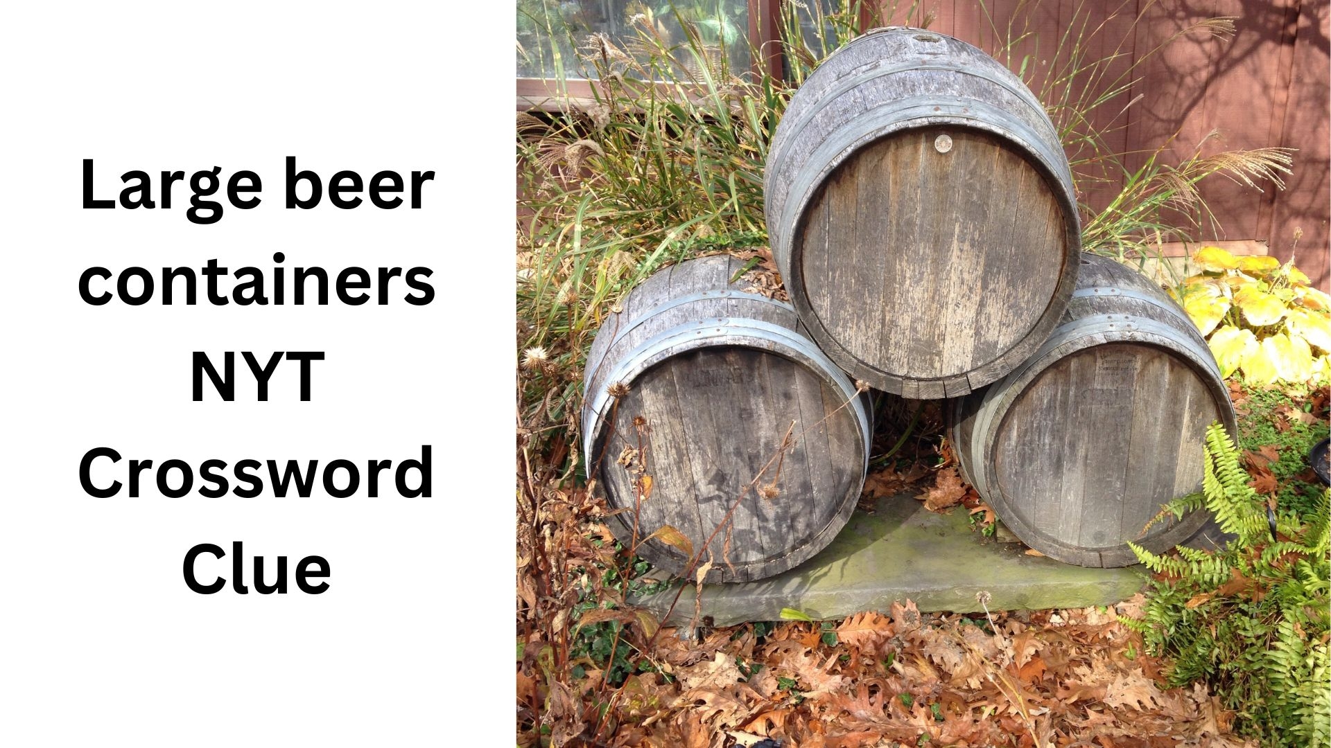 Large Beer Containers NYT Crossword Clue October 5 2024