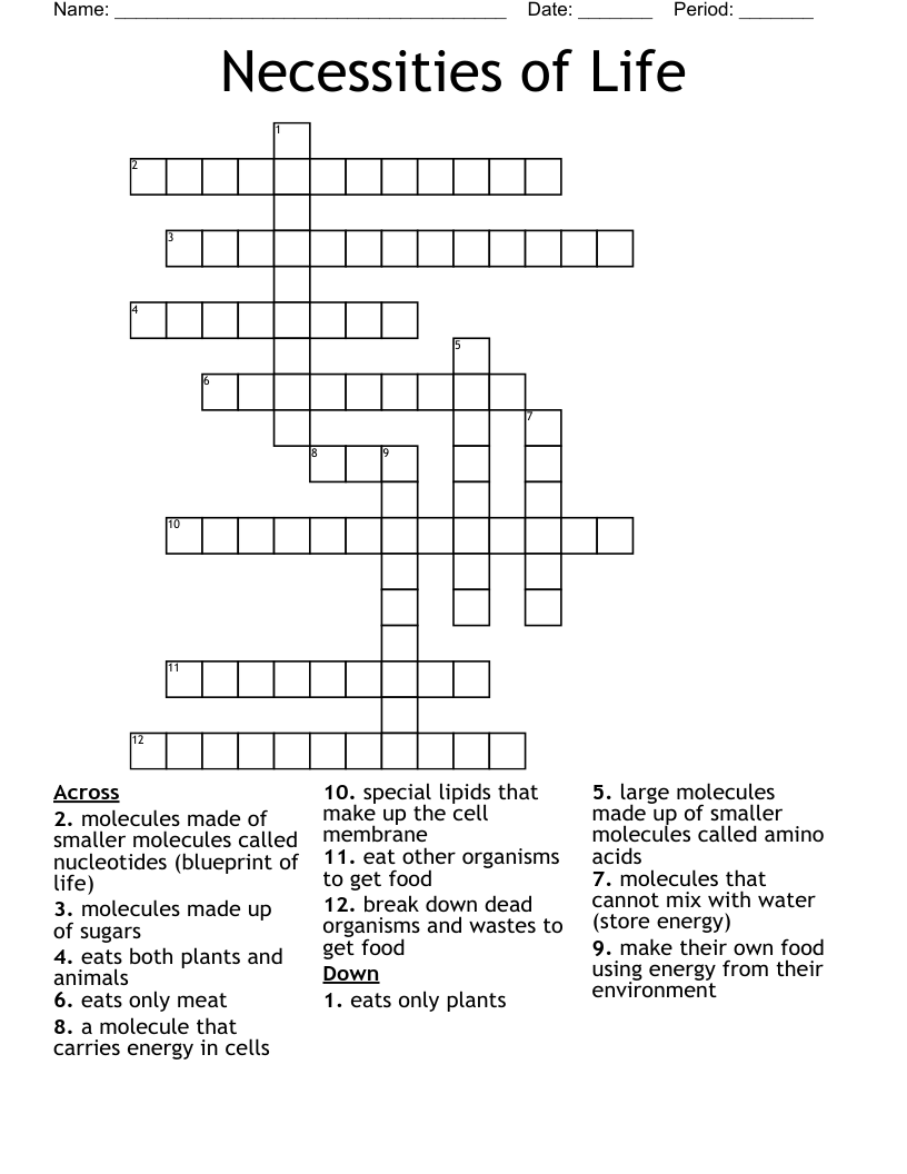 Necessities Of Life Crossword WordMint