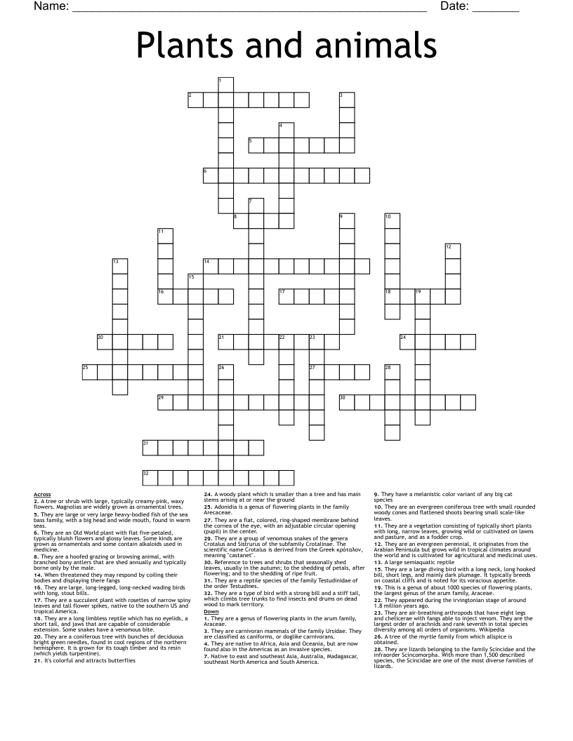 very large crossword clue