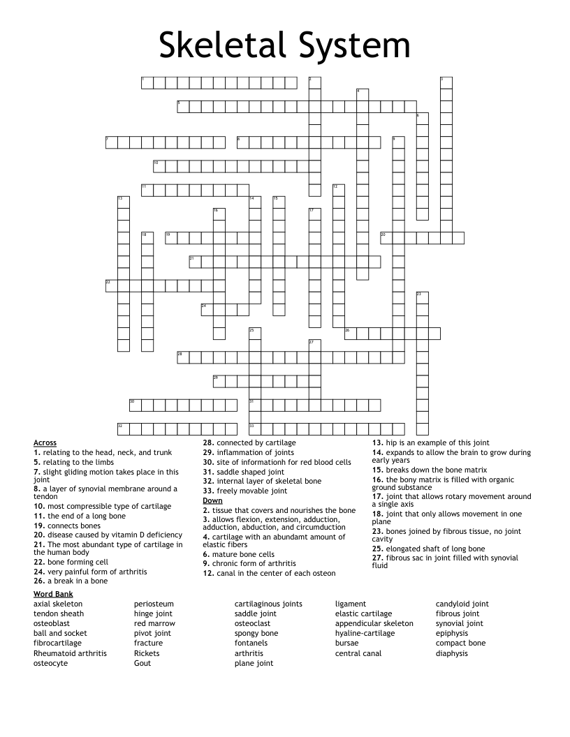 Skeletal System Crossword WordMint