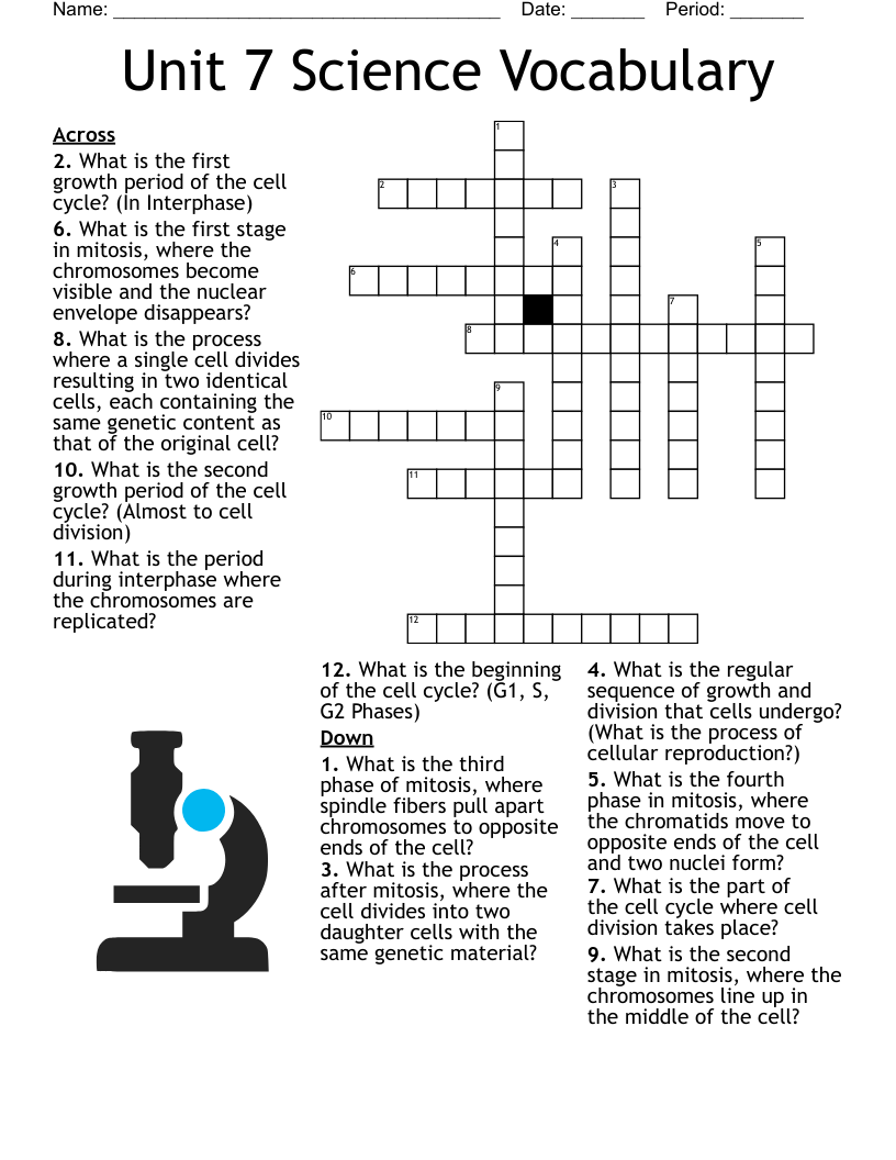 Unit 7 Science Vocabulary Crossword WordMint