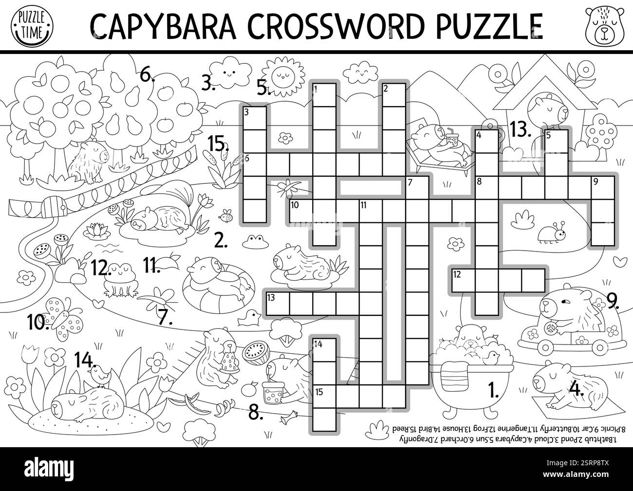 Vector Capybara Crossword Puzzle For Kids Black And White Quiz With Summer Nature Landscape For Children Educational Line Activity With Butterfly G Stock Vector Image Art Alamy