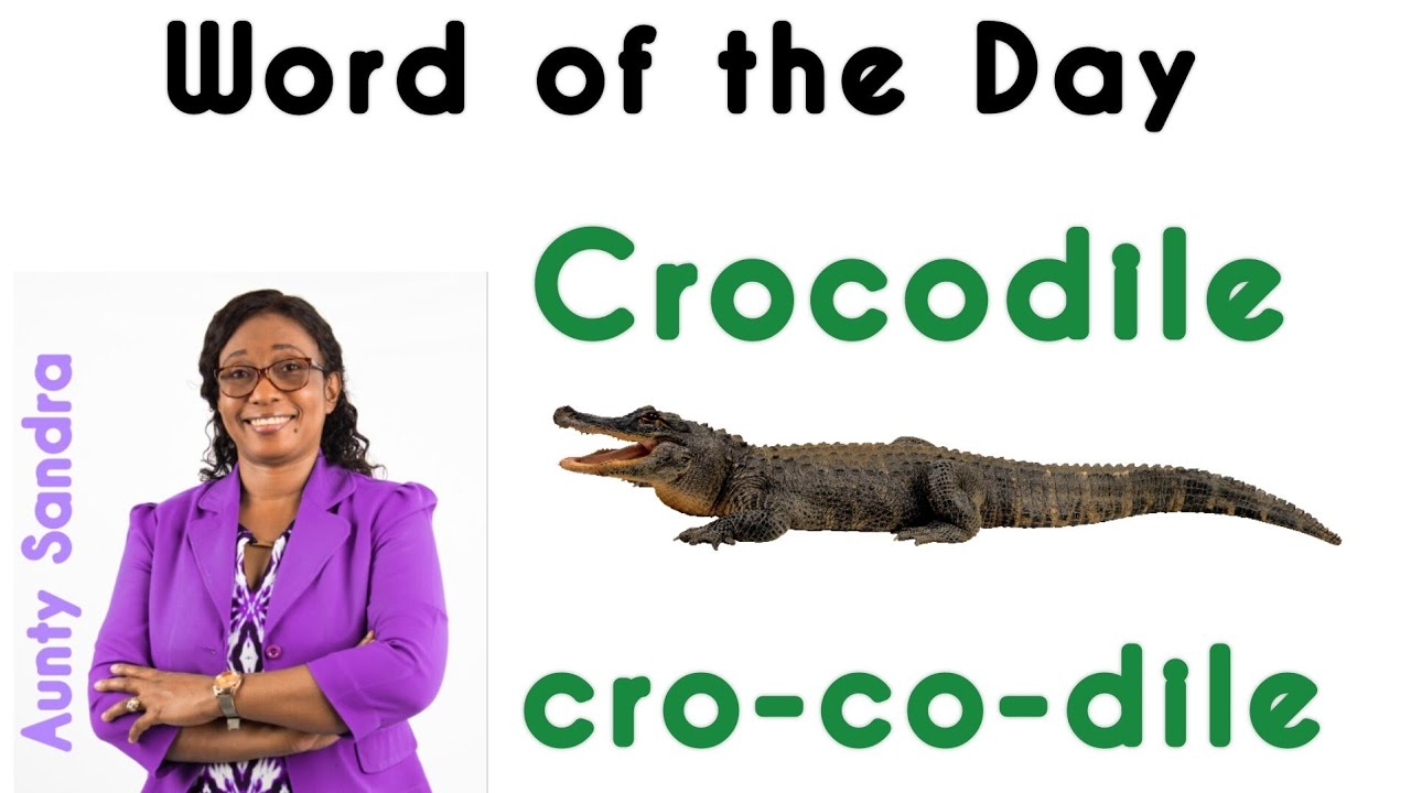 Word Of The Day Crocodile Word In Syllables Learning To Read And Spell Fluently Phonics YouTube