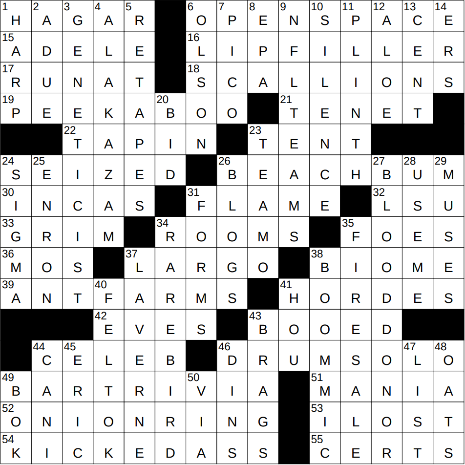 1010 25 NY Times Crossword 10 Oct 25 Friday NYXCrossword