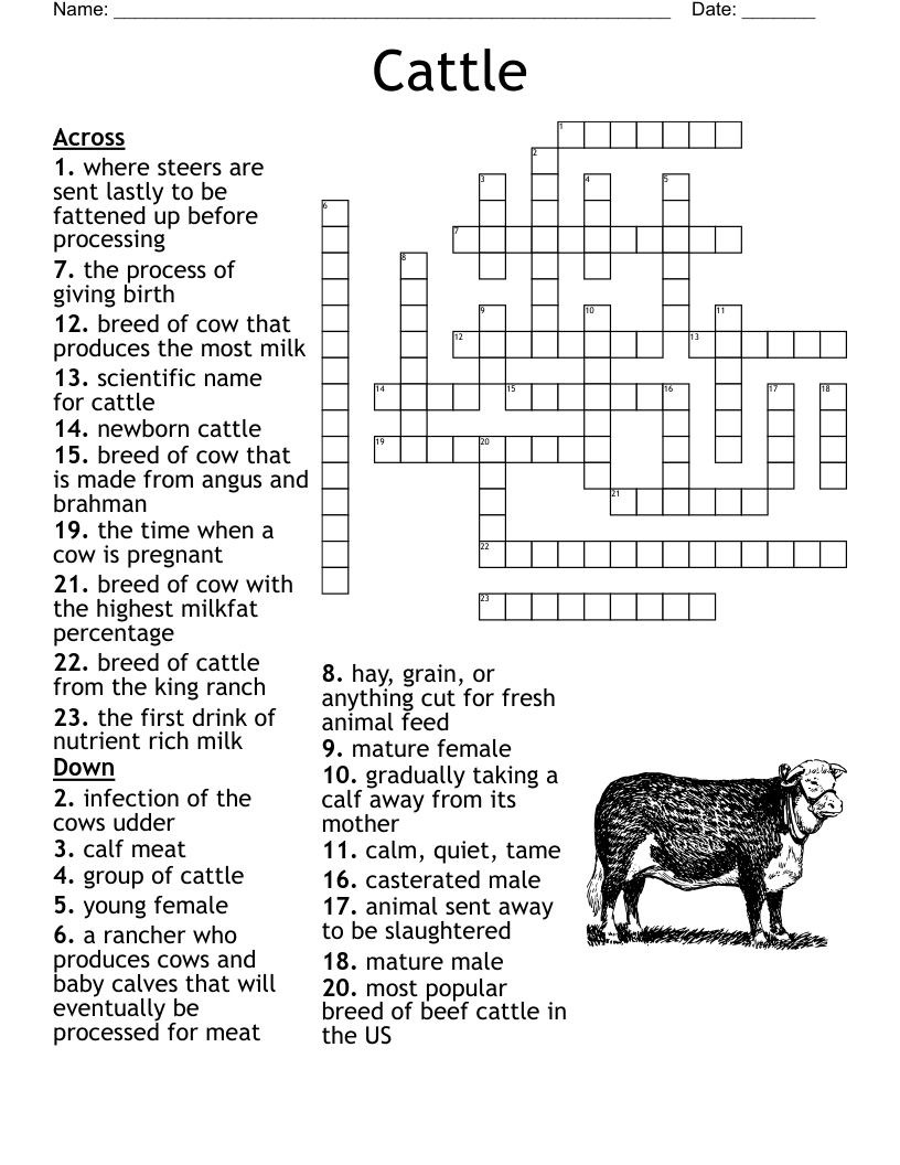 A BSOLUTELY CLUELESS X WORD PUZZLE Crossword WordMint