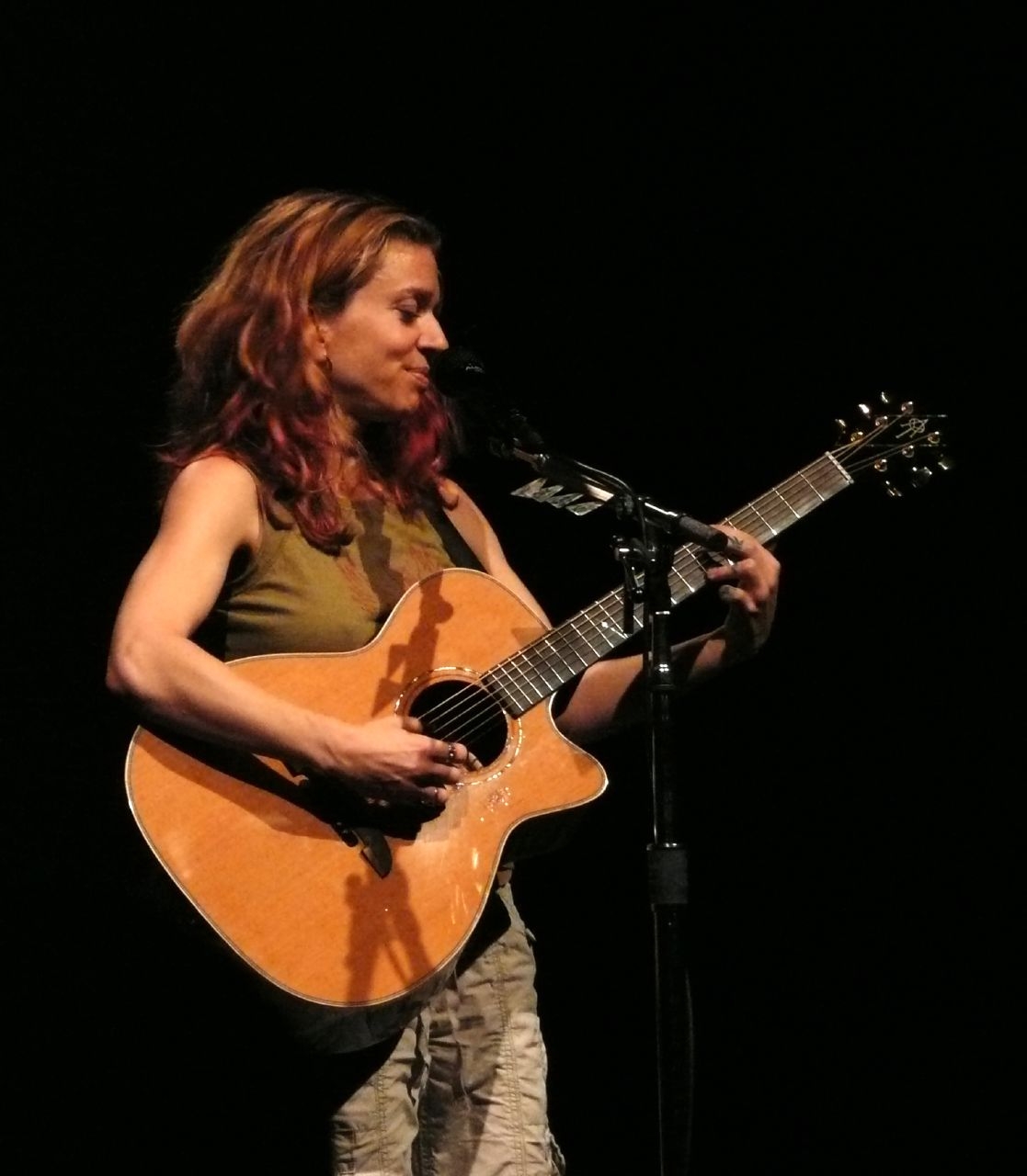 Ani DiFranco Wikipedia Ani DiFranco Wikipedia