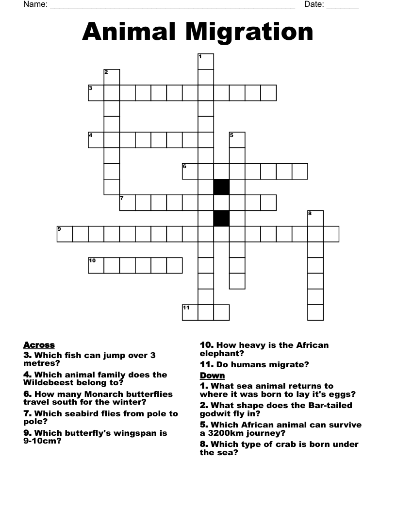 Animal Migration Crossword WordMint
