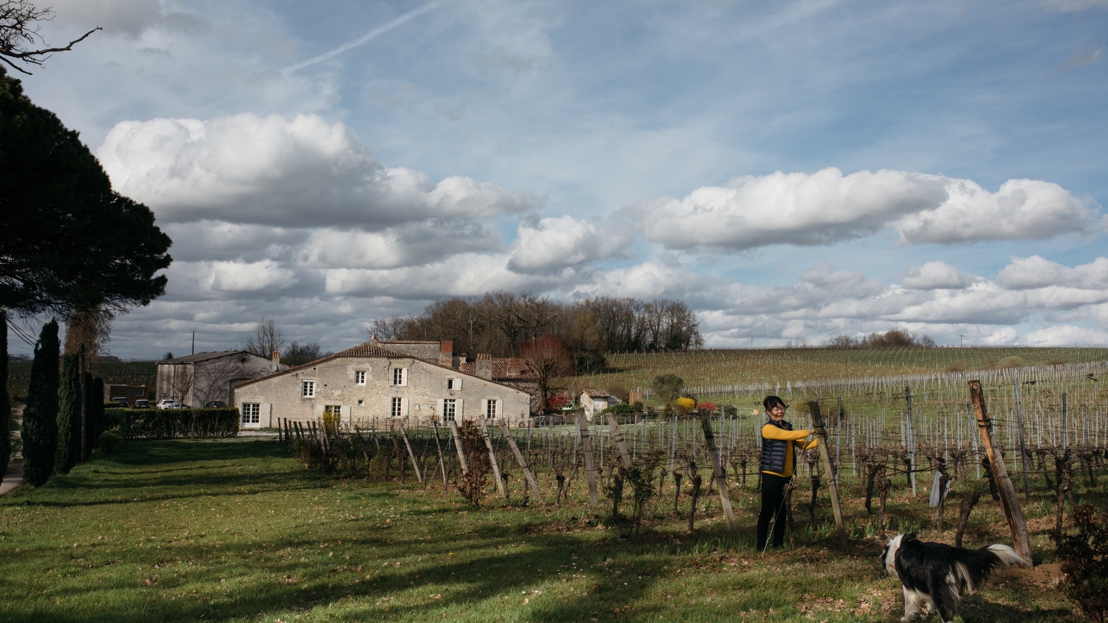 As Chinese Buy French Vineyards Names Like Ch teau Imperial Rabbit Rattle Purists The New York Times