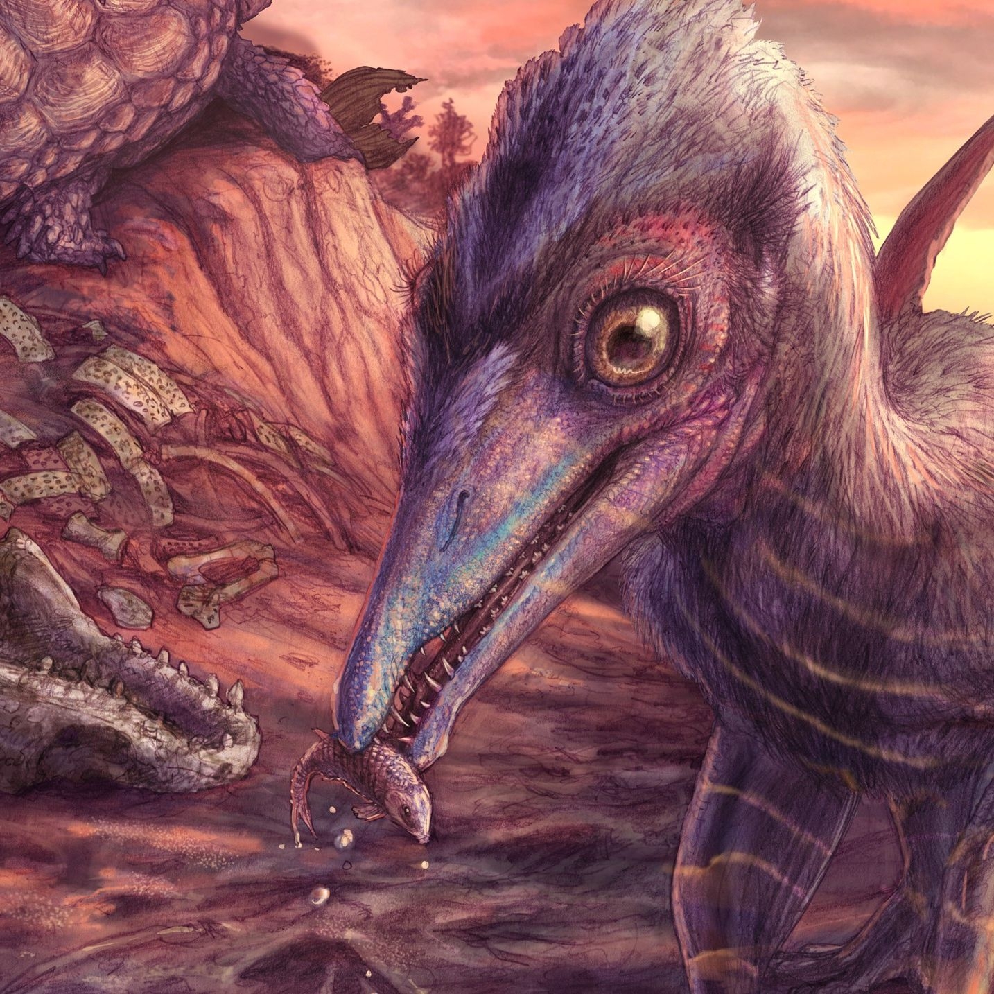 Ash winged Dawn Goddess Is Oldest Pterosaur Ever Discovered In North America And It Was Small Enough To Sit on Your Shoulder Live Science