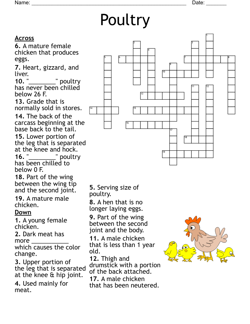 Ballet Terms Crossword WordMint