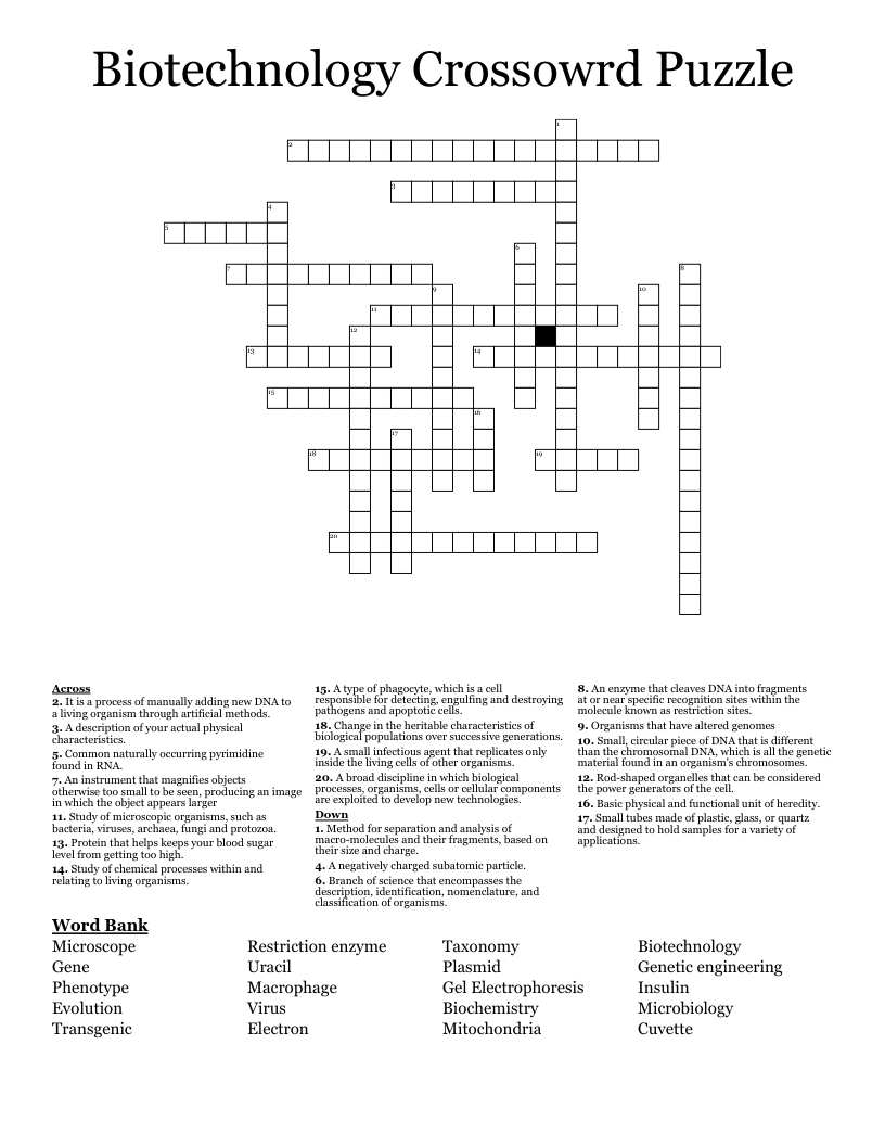 macro type crossword clue