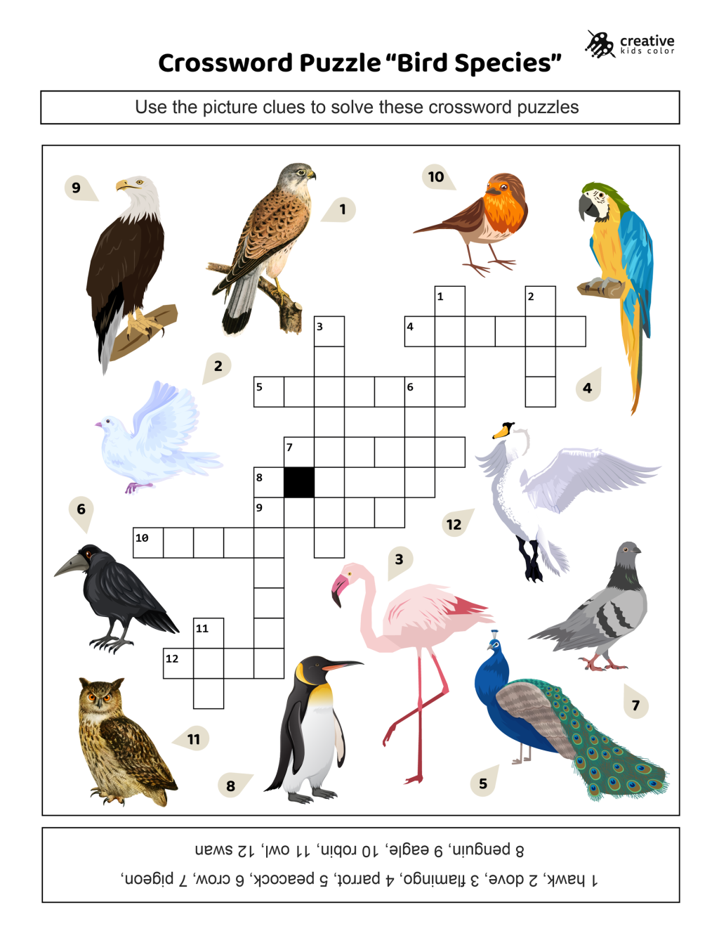 Bird Species Crossword Puzzle Free Printable PDF 