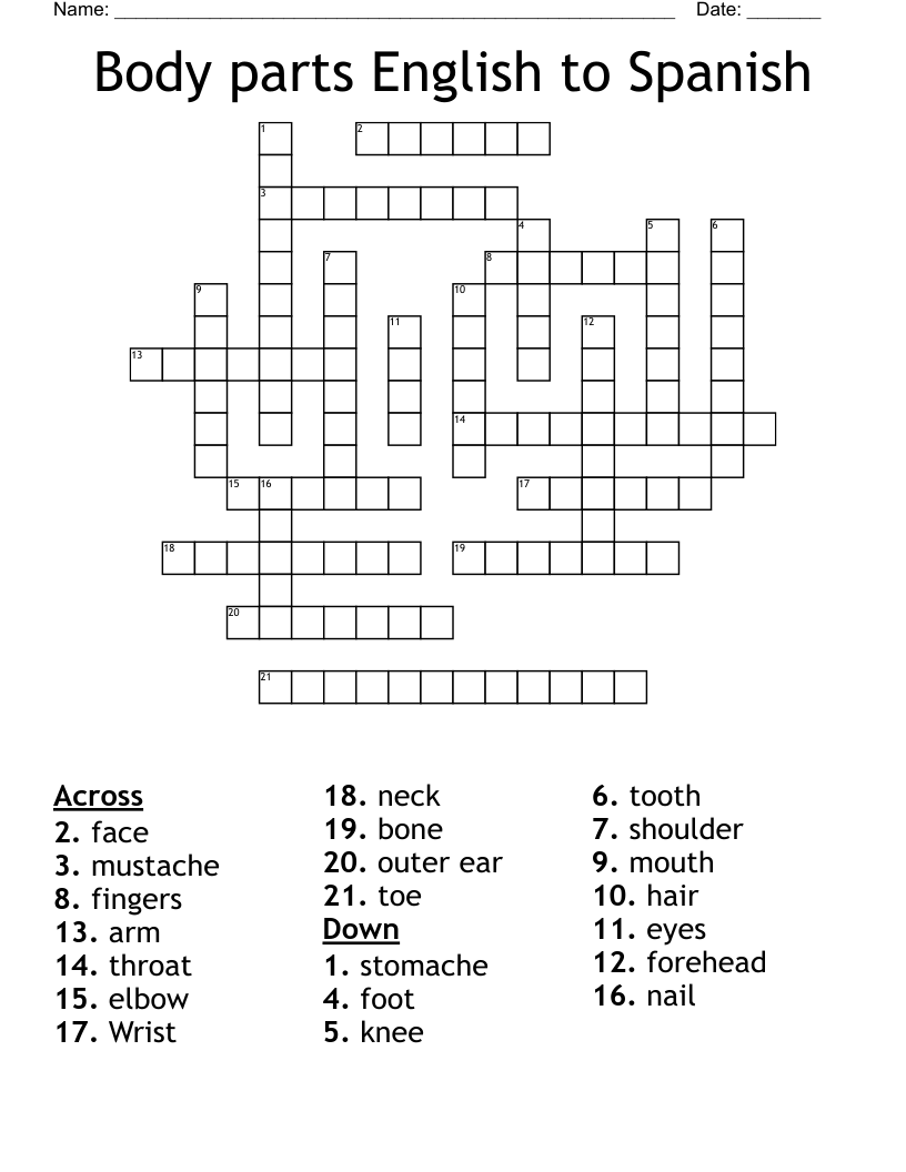 Body Parts English To Spanish Crossword WordMint