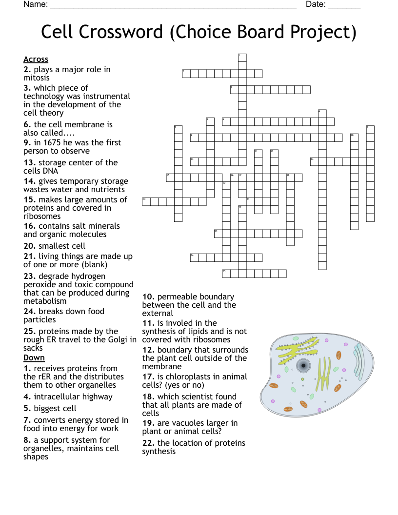 choose crossword clue