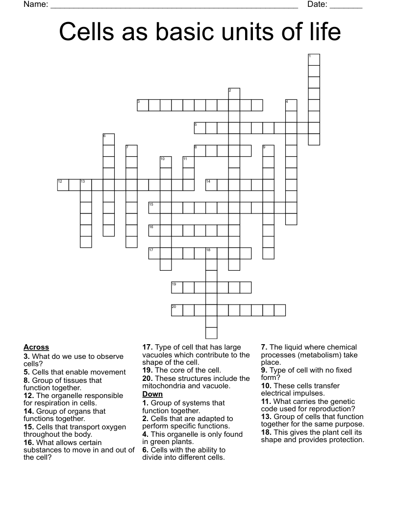 Cells As Basic Units Of Life Crossword WordMint