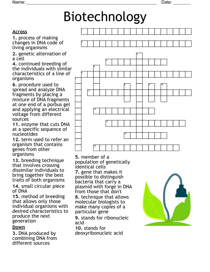 Differential Tests Crossword WordMint