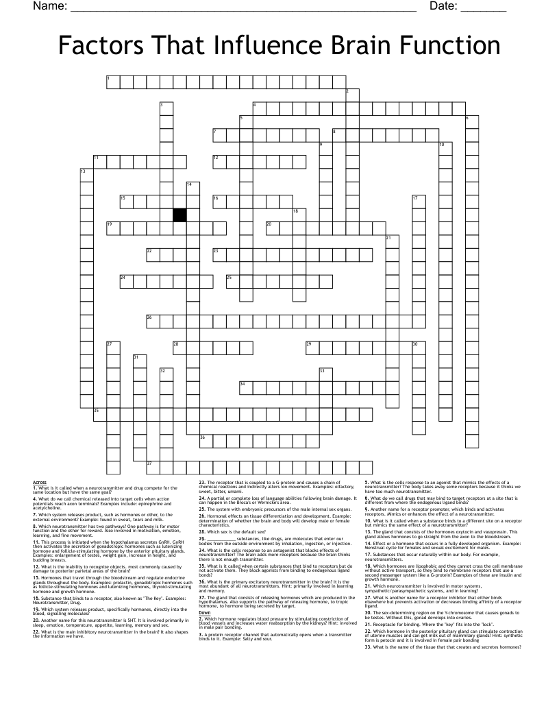 Factors That Influence Brain Function Crossword WordMint