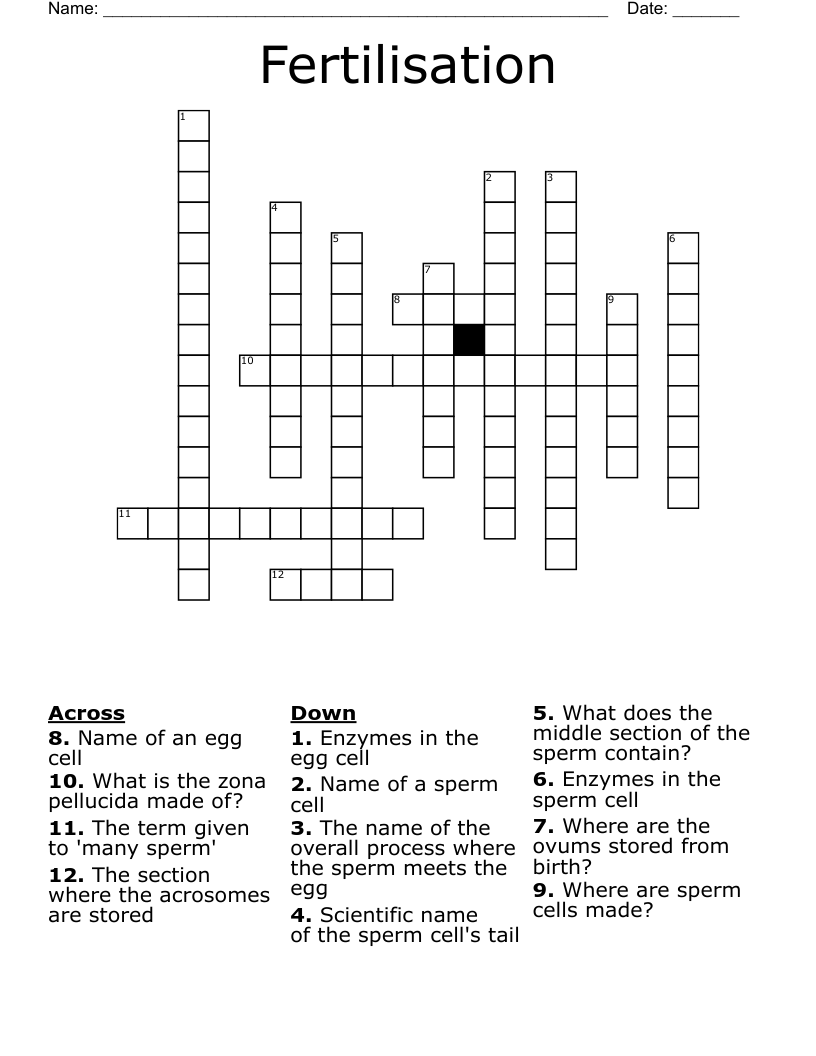 Fertilisation Crossword WordMint