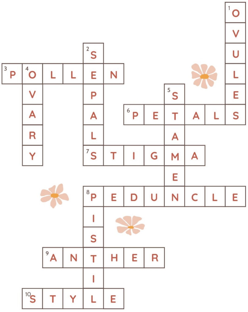 Flower Parts Crossword Solution Seasoned Times Flower Parts Crossword Solution Seasoned Times