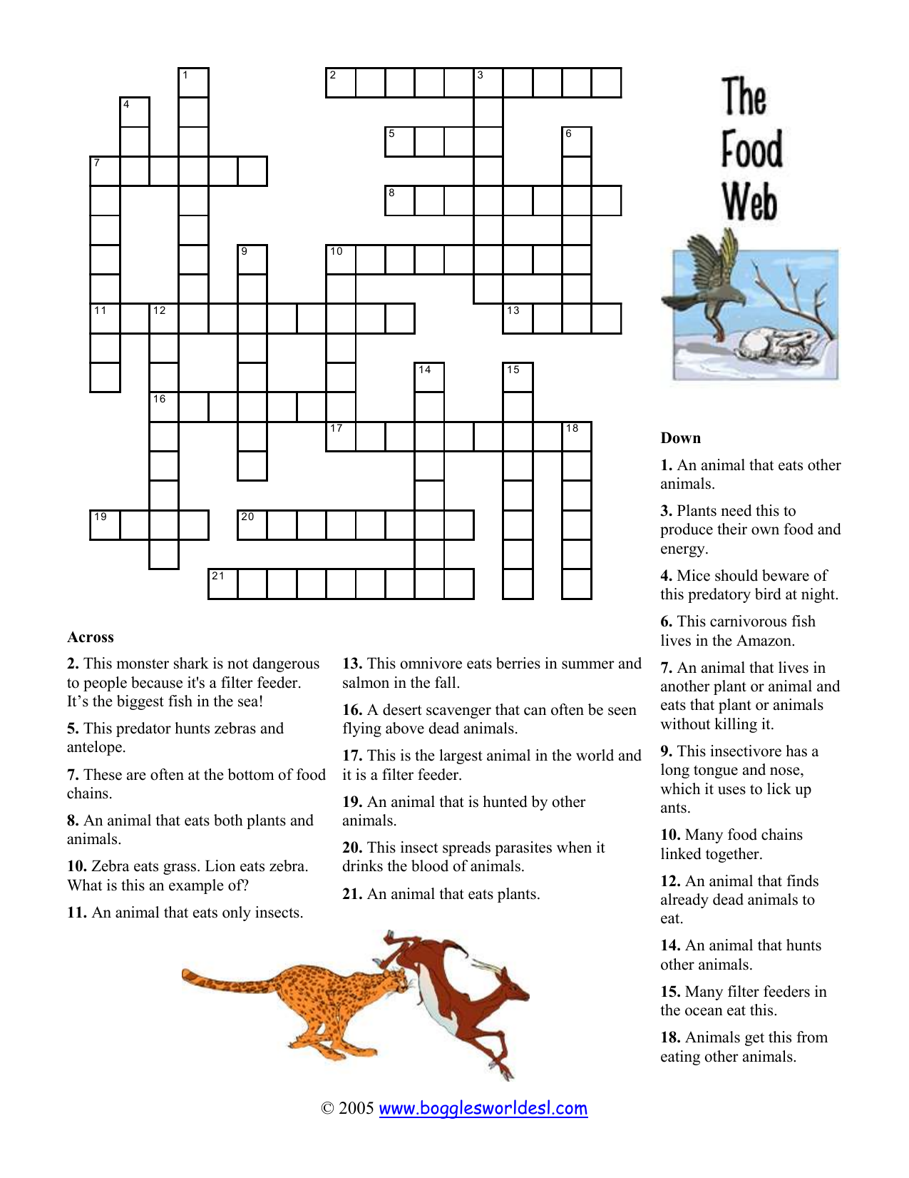 Food Web Crossword Puzzle Ecology For Kids Food Web Crossword Puzzle Ecology For Kids
