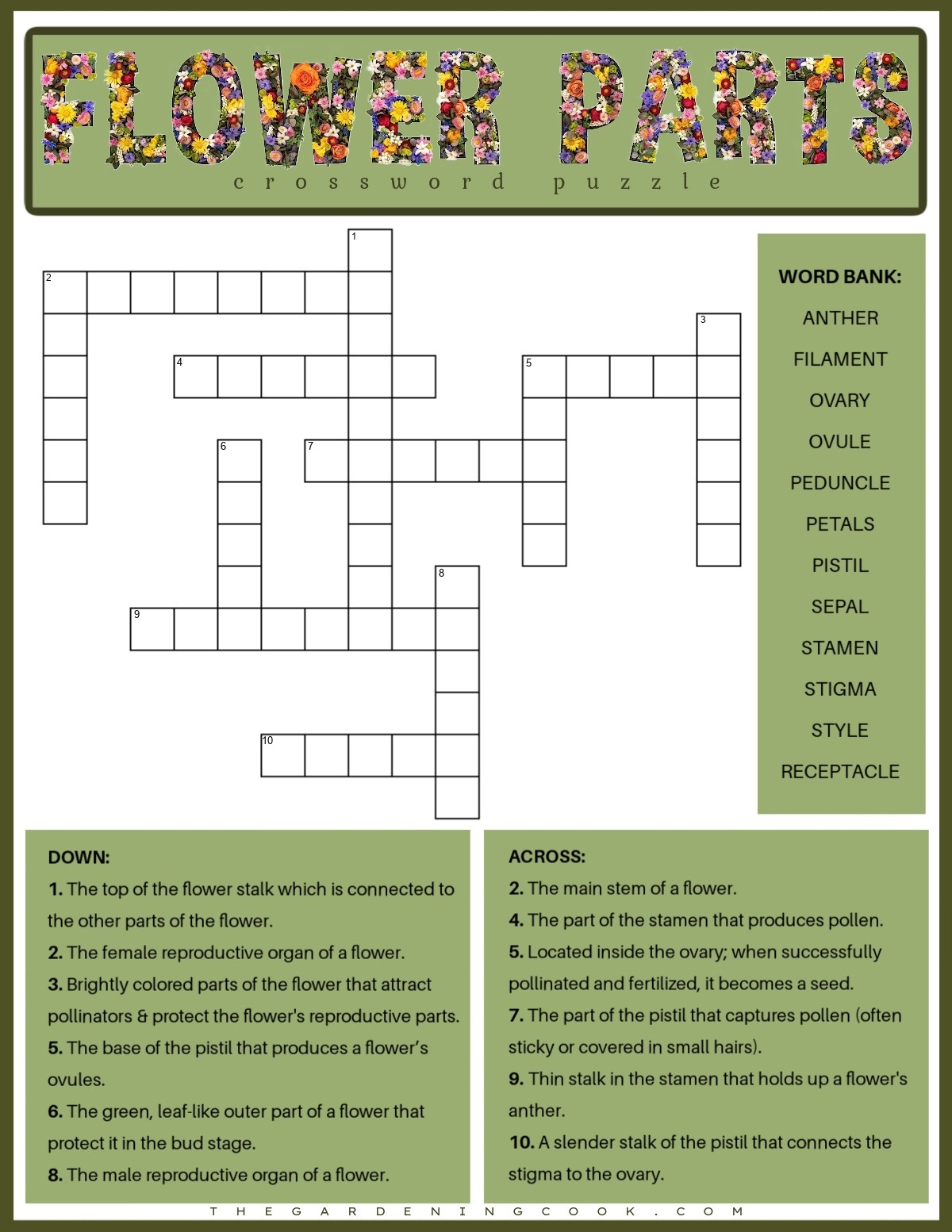 Free Printable Flower Parts Crossword Puzzle PDF JPG Free Printable Flower Parts Crossword Puzzle PDF JPG