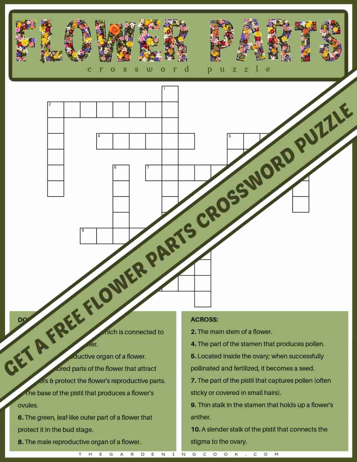 flower part crossword flower part crossword