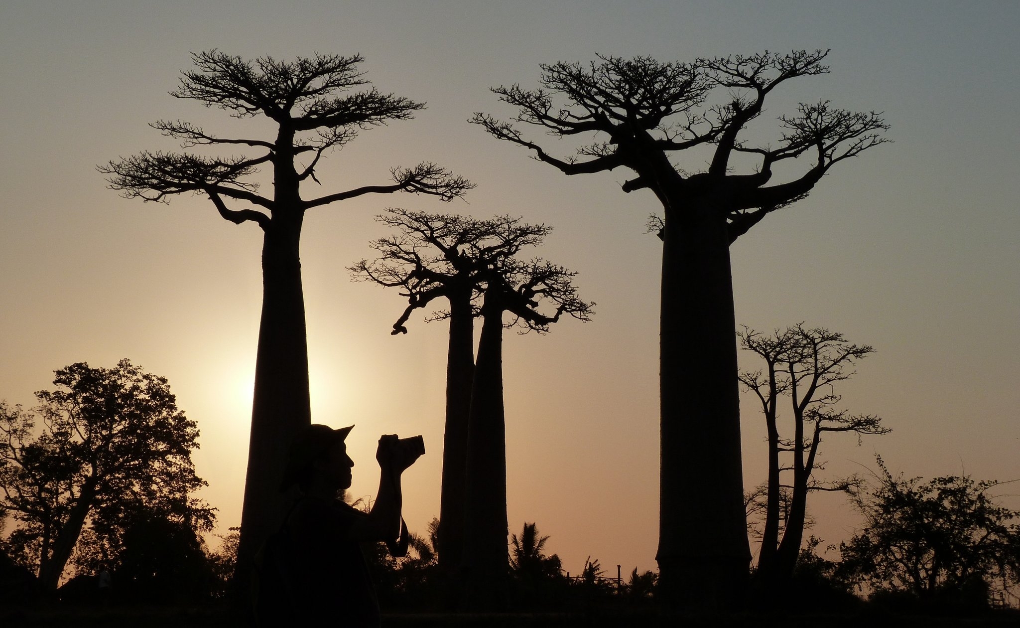 Full Of Twists The New York Times