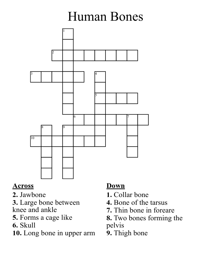 Human Bones Crossword WordMint