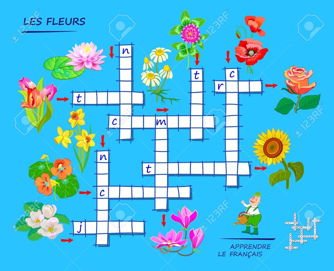 LEARN FRENCH Crossword Puzzle Game With Flowers Educational Page For Children To Study French Language And Words Printable Worksheet For Kids Textbook School Exercise Book Flat Vector Royalty Free SVG Cliparts Vectors 