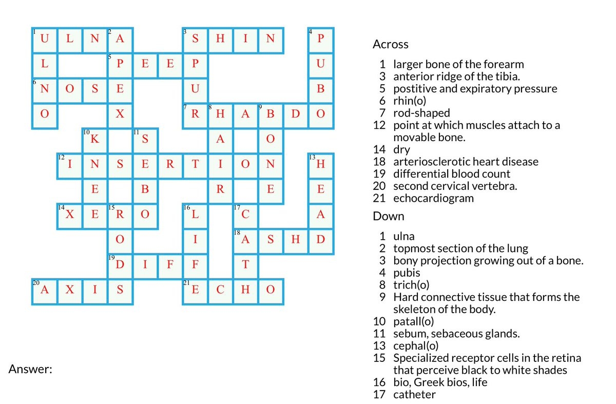 differential media crossword