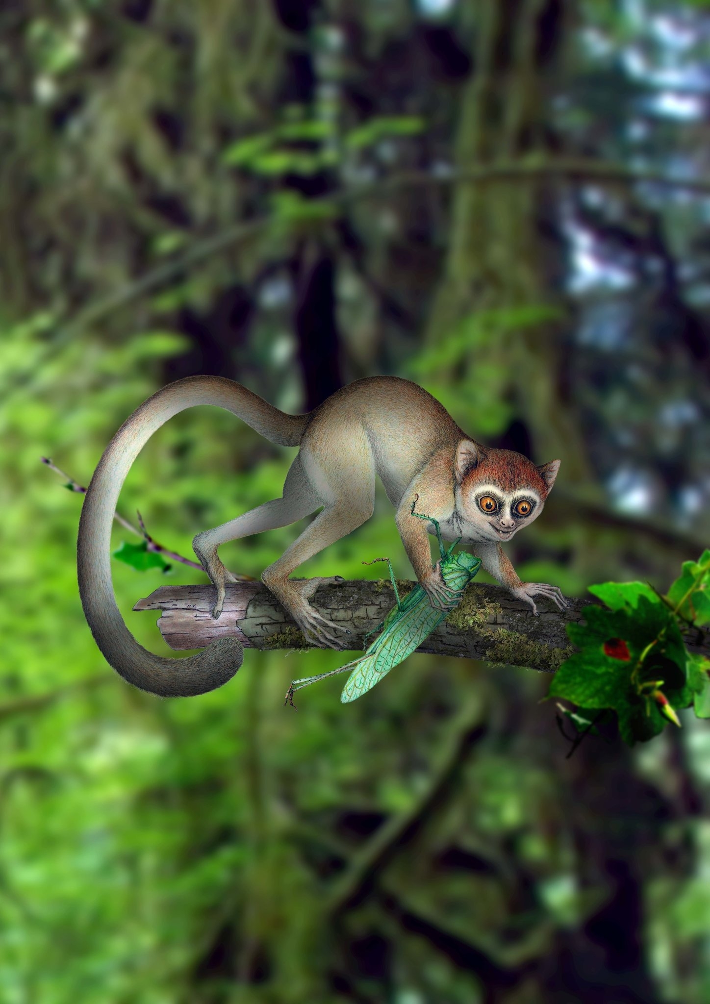 Palm Size Fossil Resets Primates Clock Scientists Say The New York Times