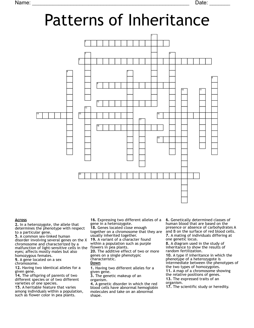 Patterns Of Inheritance Crossword WordMint