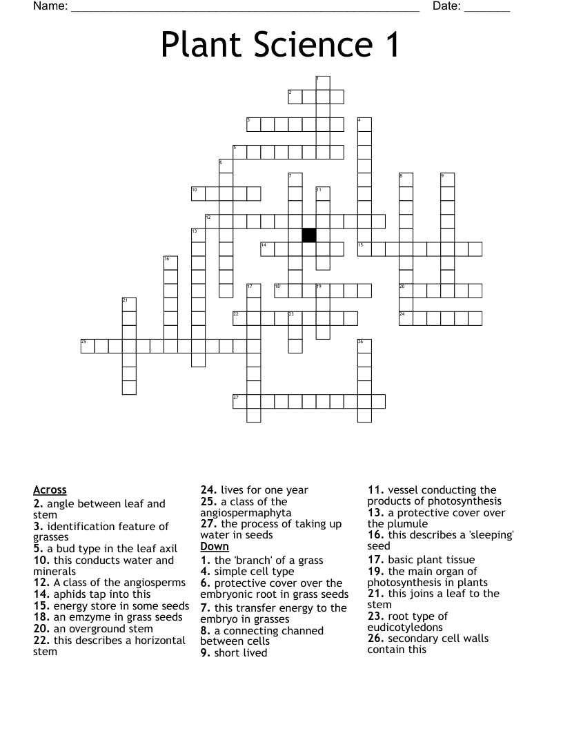Plant Science 1 Crossword WordMint Plant Science 1 Crossword WordMint