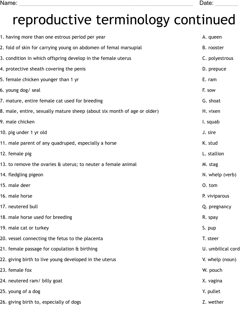 Reproductive Terminology Continued Worksheet WordMint