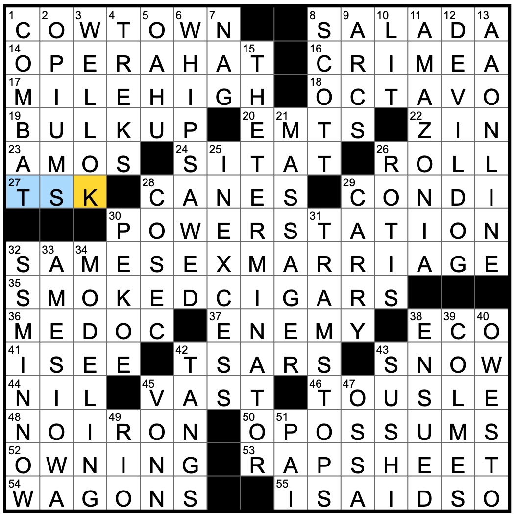 Rex Parker Does The NYT Crossword Puzzle