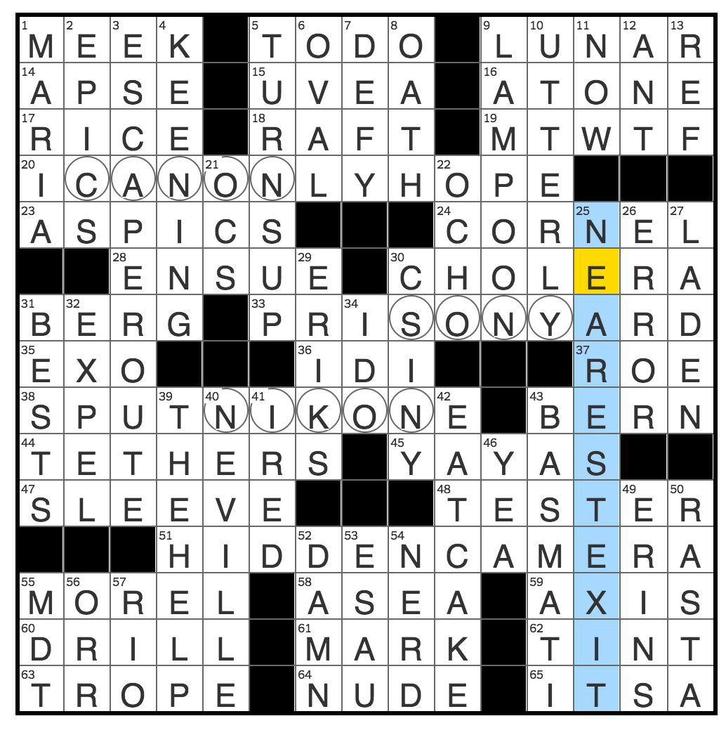 Rex Parker Does The NYT Crossword Puzzle Edible Mushroom MON 2 6 17 Dictator Amin Summer Hours In Denver Abbr Philosopher And Social Activist West