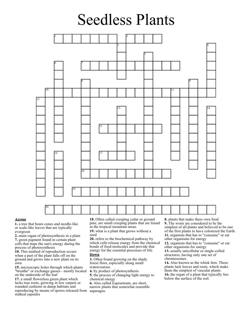 Seedless Plants Crossword WordMint