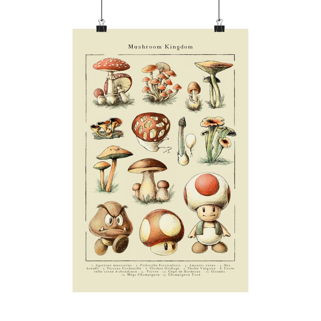 ramen fungus crossword