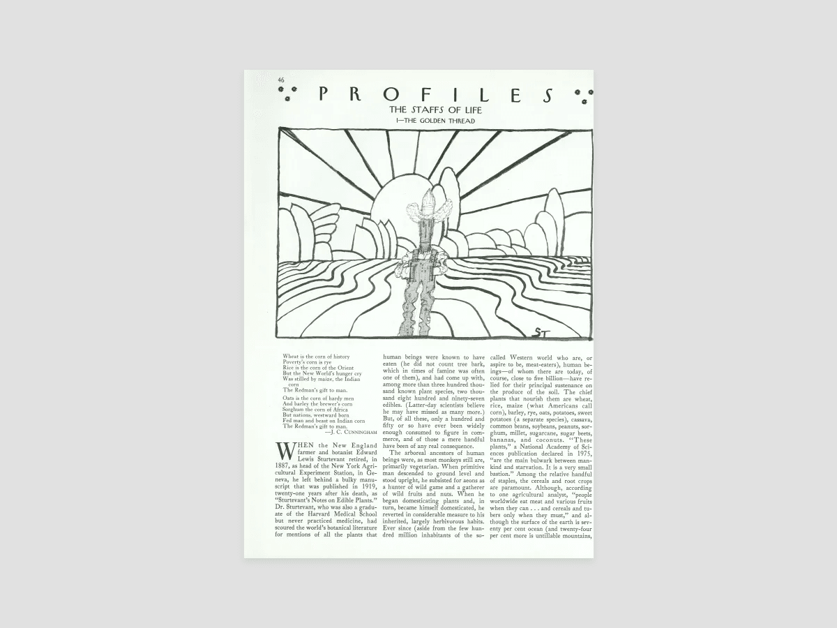 The Staffs Of Life I The Golden Thread The New Yorker